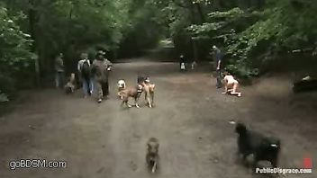 a very beautiful pigtailed babe fucked on the streets and in parks