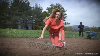Three prisoner babes are punished for not revealing the proper informations